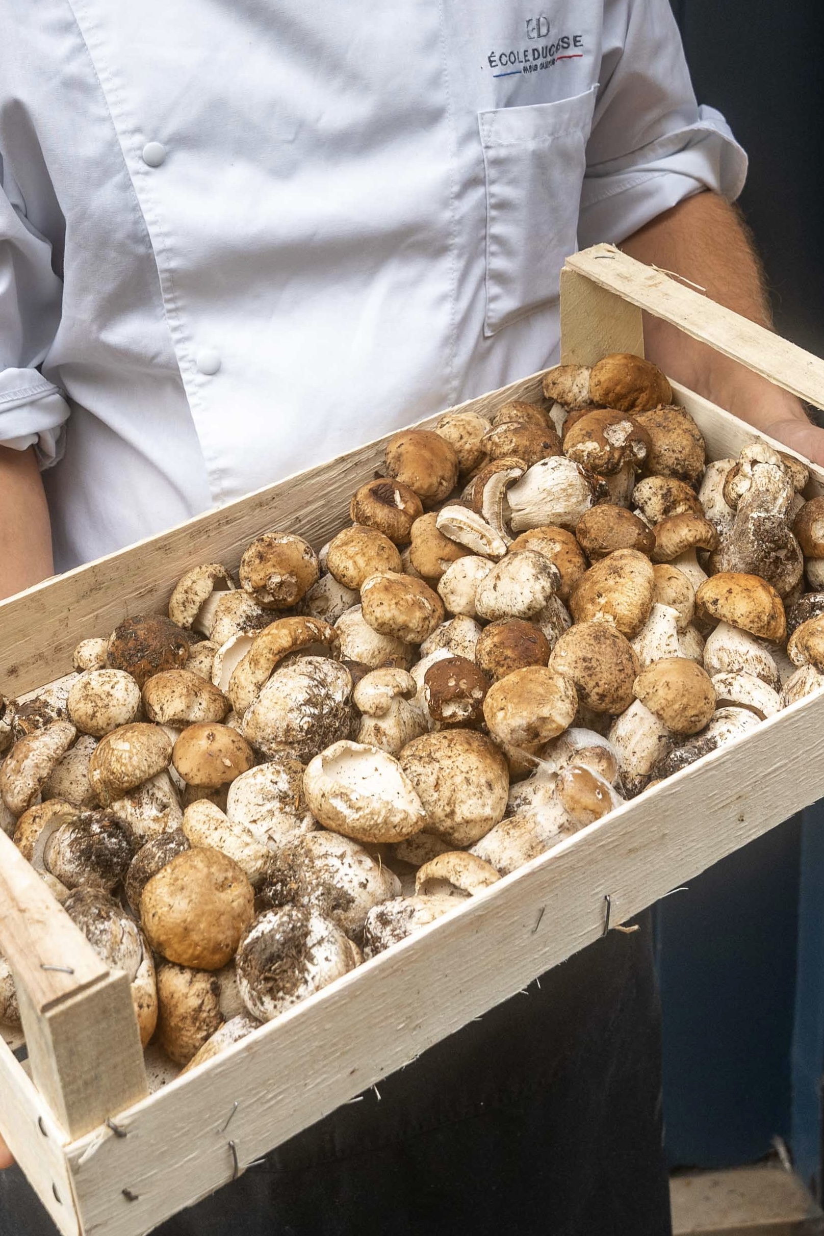 Cagette de cèpes champignons